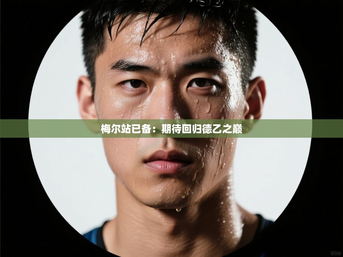 梅尔站已备：期待回归德乙之巅