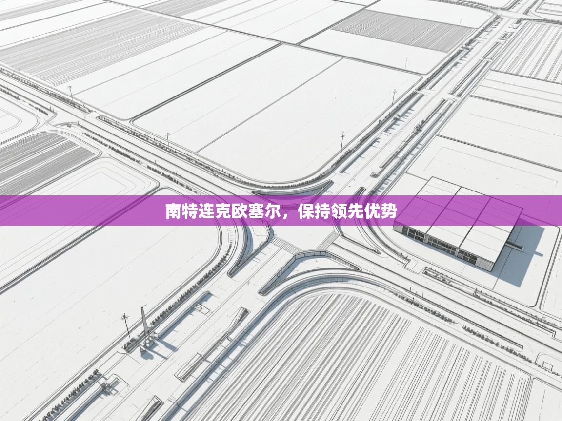 南特连克欧塞尔,保持领先优势 第2张