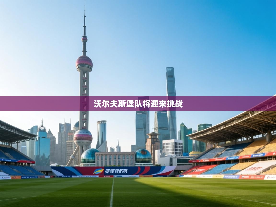 沃尔夫斯堡队将迎来挑战 第2张