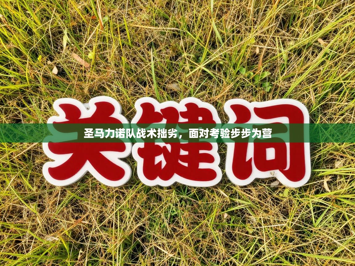 圣马力诺队战术拙劣,面对考验步步为营 第2张