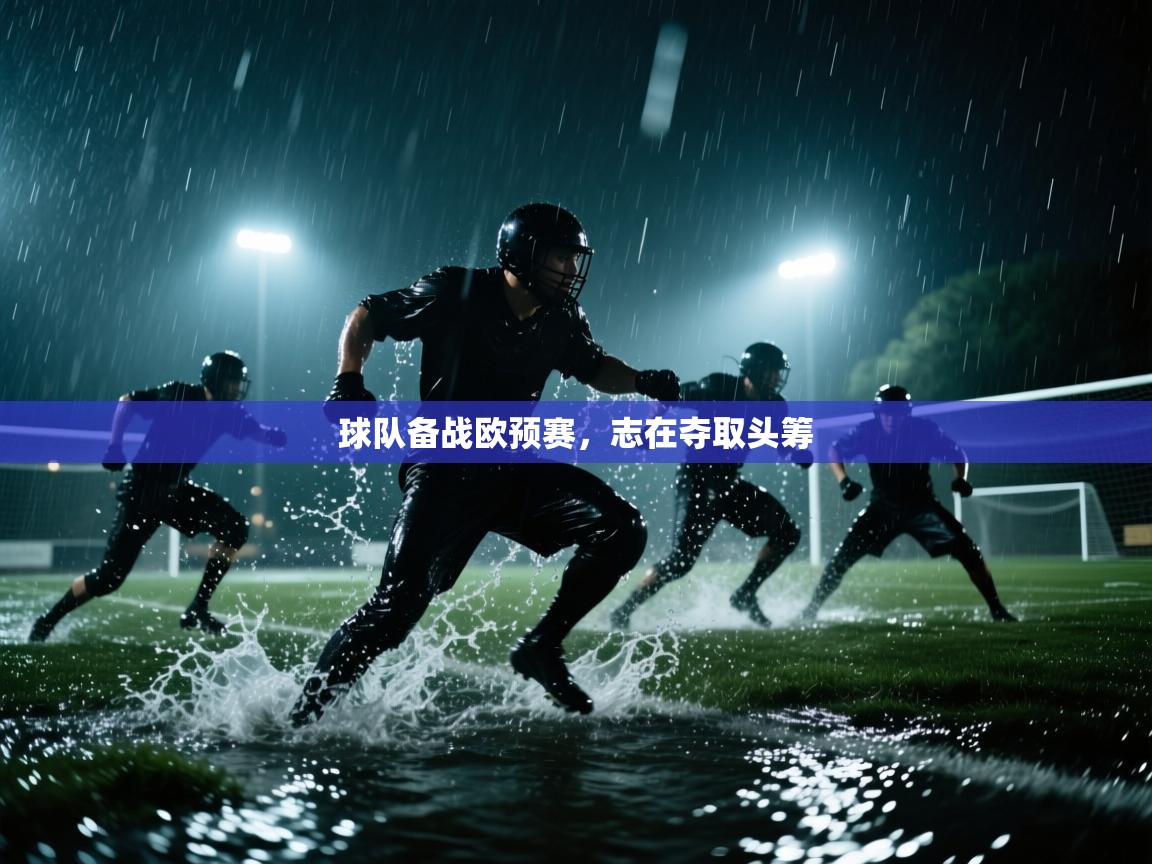 球队备战欧预赛，志在夺取头筹  第2张