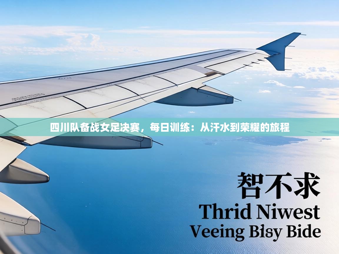 四川队备战女足决赛，每日训练：从汗水到荣耀的旅程  第2张