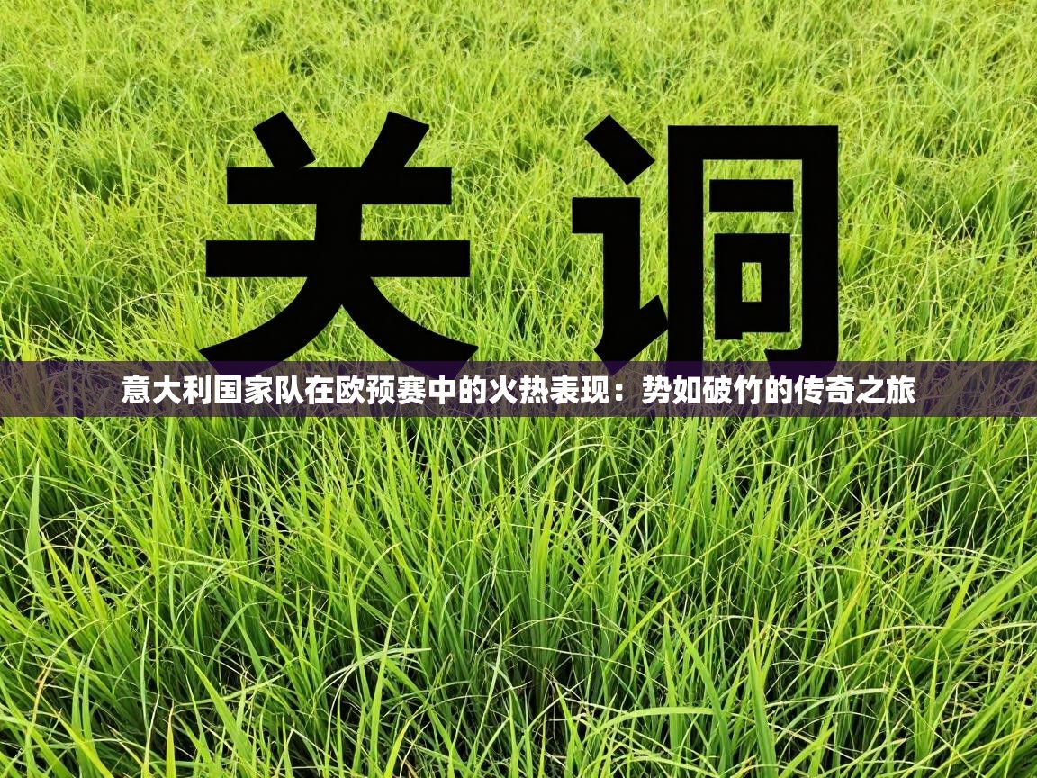 意大利国家队在欧预赛中的火热表现:势如破竹的传奇之旅 第1张