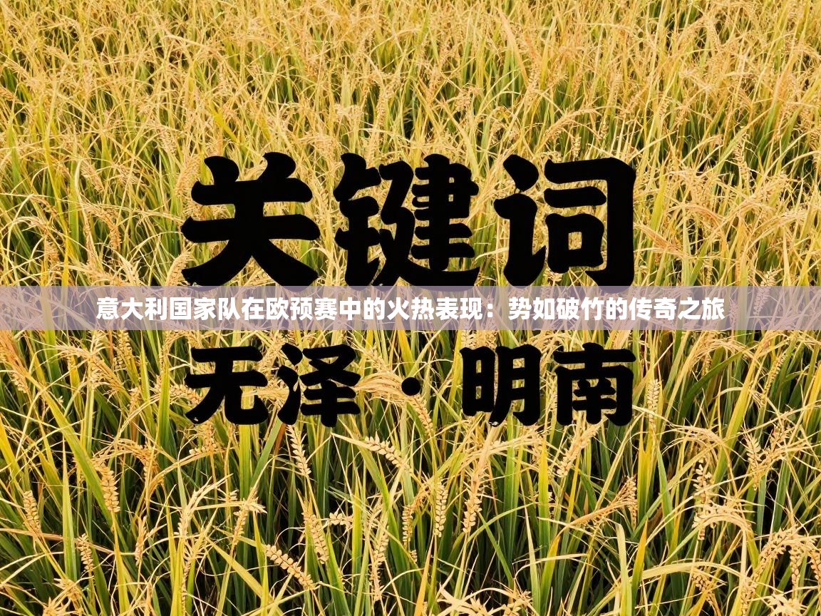 意大利国家队在欧预赛中的火热表现:势如破竹的传奇之旅 第2张